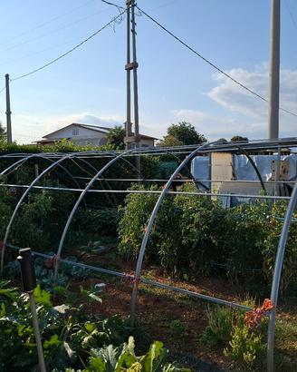struttura per serra 8 × 4 × 2