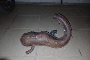 Marmitta Polini a Banana