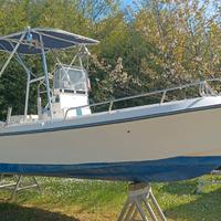 Aquasport aqua 200 + 115 hp yamaha