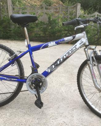 mountainbike 24 pollici