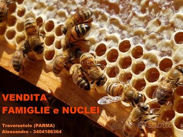 Api - Famiglie o Nuclei di LIGUSTICA