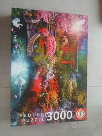 Puzzle Educa 3000 pz