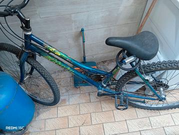 Bicicletta Mountain bike