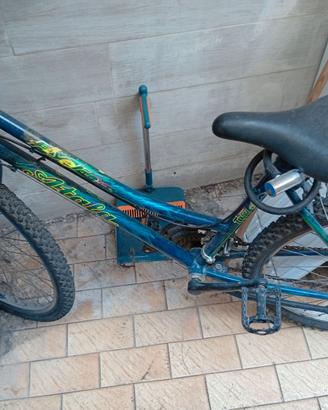 Bicicletta Mountain bike