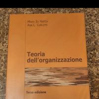 Teoria dell'organizzazione