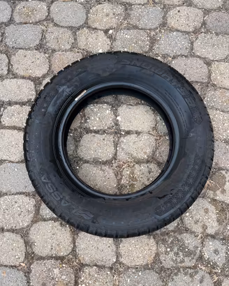 Gomme panda 141