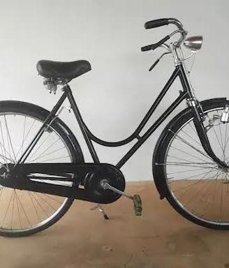 bici da donna 
