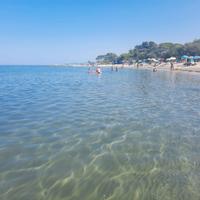 300 metri mare e pineta