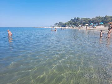 300 metri mare e pineta