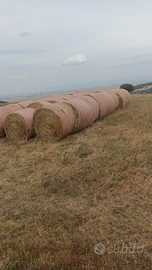 Fieno di avena