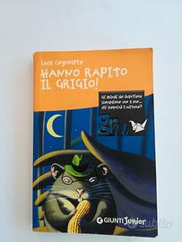 LIBRO "Hanno rapito il Grigio!"