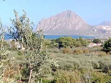 Terreno edificabile