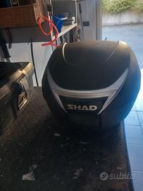 bauletto moto
