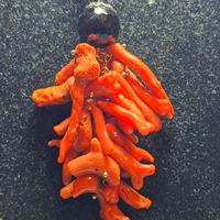 collana ciuffo corallo