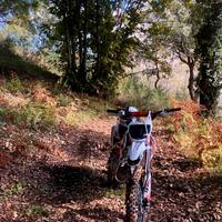 Kayo 140TT 2024