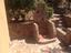 Immagine 6