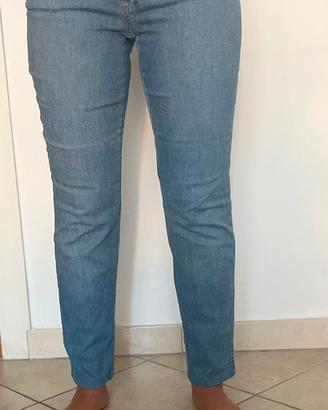 Jeans trussardi