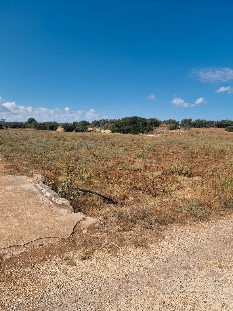 Terreno vicino alla Riserva di Torre Guaceto - Vista 2
