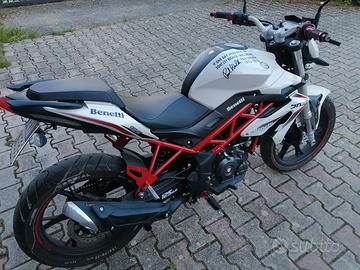 benelli bn125