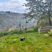 giostra richiamo uso caccia