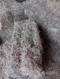 Ballottini fieno 1 e 2 taglio