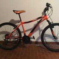 Bicicletta ragazzo 10-14 anni