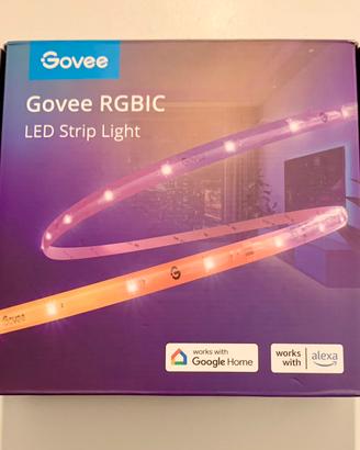 Striscia Luminosa LED Govee RGBIC Wi-Fi + Bluetoot