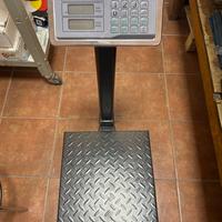 Bilancia professionale pesa fino a 300kg