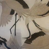 Carta da parati Wallpapers4beginners