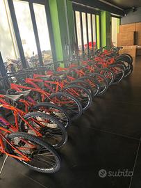 BICI BOTTECCHIA 27,5  FLOTTA DA NOLEGGIO