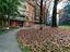 Immagine 26