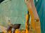 Immagine 29