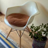 Coppia di sedie stile Eames