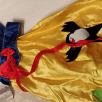 Costume Biancaneve