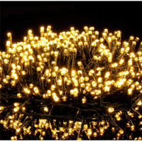 Luci di Natale 1000 LEDs 25M