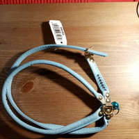 Collarino per cani nuovo azzurro