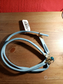 Collarino per cani nuovo azzurro