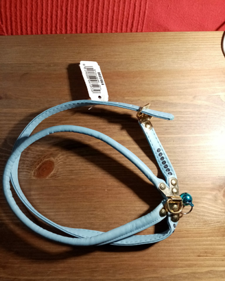 Collarino per cani nuovo azzurro