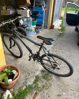 Bicicletta