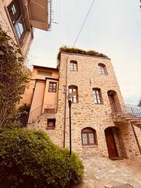 Villa di 600 m² con più di 5 locali e box auto dop