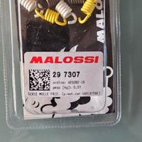 Kit Mollette Malossi 297307