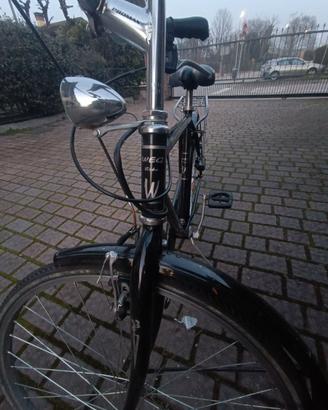 Bicicletta web bike