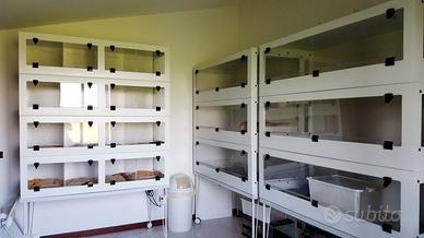 Terrari modulari per rettili