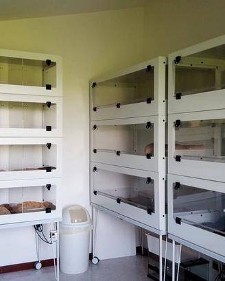Terrari Modulari Espandibili per Rettili