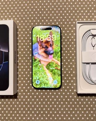 IPhone 16 Pro 256 GB