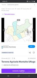 Terreno agricolo montalto paese