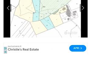 Terreno agricolo montalto paese