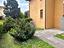 Immagine 19