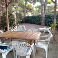 Grazioso con giardino