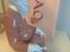 Immagine 5